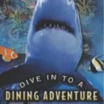 20 Best Things to Do in Houston Texas-2