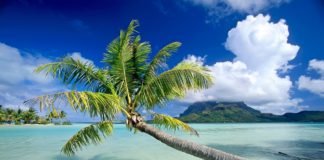 “Bangaram reopened!” Bangaram island beach resort, Lakshadweep