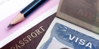 VFS Global unveils visa application trends