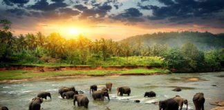 Sri Lanka continues visa-on-arrival for India