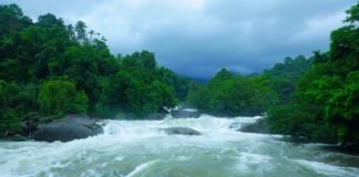 Enchanting Kerala arippara_waterfalls_a_hidden_gem