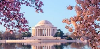 Destination DC comes calling in India