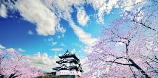 Japan to experience highest growth in international arrivals by 2022, says GlobalData