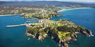 Port of Eden open for business after the bushfires