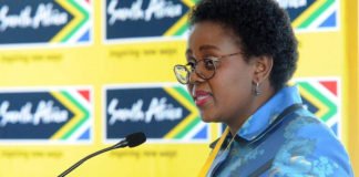 South African Tourism Minister Mmamoloko Kubayi-Ngubane Visits India, Announces E-visa Programme for Indian Travellers
