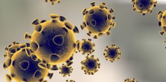 What you need to know about the Coronavirus if travelling