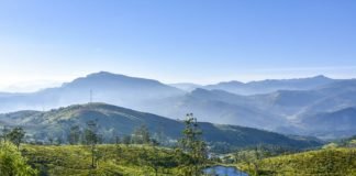 Sri Lanka to target high-spending tourists to revive tourism