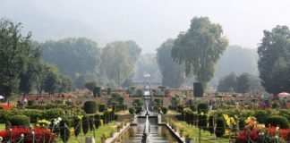 Kashmir’s Stunning Parks and Gardens are Open Again