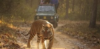 Madhya Pradesh Unlocks travel, launches ‘Intezaar Aapka’ campaign