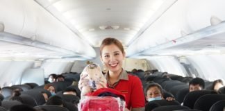 Vietjet-Facebook partnership to give boost to Vietnamese tourism