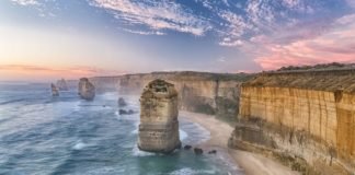 Wildlife Wonders of the Great Ocean Road
