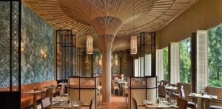 A Century Of Pioneering Culinary Trends