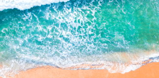 “Developing Konkan Tourism is a prime focus” –