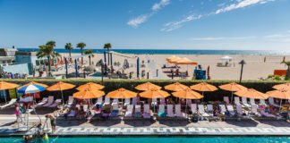 Go Green in Santa Monica