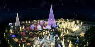 5 Reasons to Visit Enchant Christmas in Washington, DC