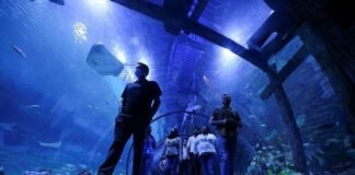 Middle East’s largest aquarium opens in UAE capital Abu Dhabi