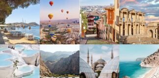 TÜRKİYE Launches new learning platform “All in TÜRKİYE”