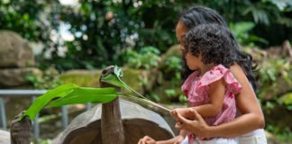 5 reasons to choose Seychelles for the summer