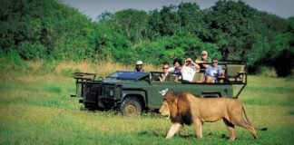 South African tourism accelerates India travel recovery efforts with 4 city roadshow