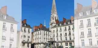 France to launch a new promotional campaign in April, introduce an e-learning programme for international tour operators