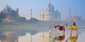 India’s national tourism policy with prime focus on digitisation on the anvil