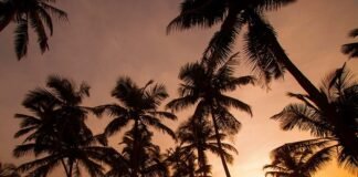 Espire Hospitality Group expands footprint with a new signing of a Country Inn Resort in Goa
