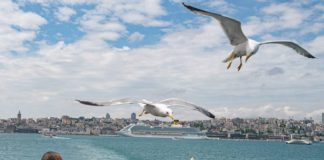 Turkey Bets Big On New Cruise Port To Boost Tourism