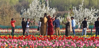 A record number of tourists visited Jammu and Kashmir from January to July 3, tourists crossed 1 crore
