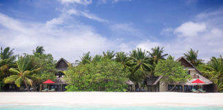 Chase the sun this winter with Taj In Maldives and Sri Lanka