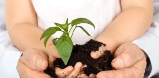 IHCL marches towards achieving sustainability Goals