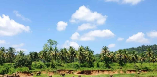 Sri Lanka Sees Increase In Tourism Earnings In The First Quarter