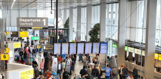 Booking Data Points to Strong Peak Season Travel