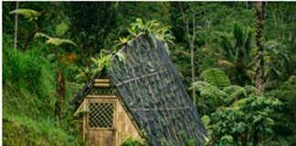 Banyan Tree Group releases 2022 sustainability report
