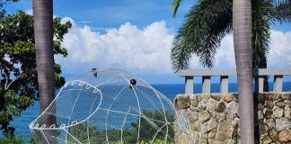 Centara continues its commitment to sustainability with the relaunch of the highly successful ‘P-O-P Fish’ campaign