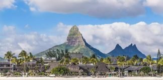 MTPA appoints AllKnown Marketers as representative for the Indian market