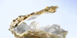 Discover The Hidden Gems of Bahrain