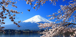 Reviving Japan’s Tourism: JNTO’s progressive approach to post-pandemic future with new inbound marketing strategy
