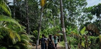 Punjab Forest dept plans three eco-tourism projects in Pathankot, Hoshiarpur