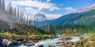 Explore the natural beauty of national parks in the US