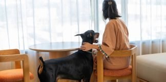 Centara Hotels embrace pet-friendly stays in Korat, Ubon, Udon, and Ayutthaya