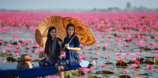 Everything you wanted to know about Udon Thani