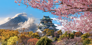 Japan welcomes over 3 million visitors in April 2024