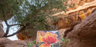 Assouline releases ‘AlUla Flora’, celebrating the ancient oasis destination’s vibrant blooms