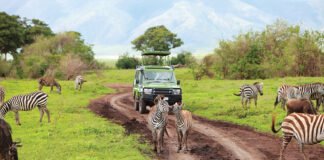 Tanzania’s Travel & Tourism Reached Record Breaking Levels in 2023