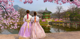 South Korea’s Travel & Tourism Sector Set to Reach New Heights in 2024