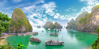 Vietnam’s Travel & Tourism Set for a Record 2024