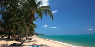 TAT to organise two ‘Amazing Thailand’ events in Chennai later this month