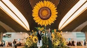 Changi Airport unveils first-ever sunflower-themed showcase