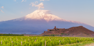 8th UN Tourism Global Conference on Wine Tourism