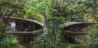 Singapore Unveils Luxurious Mandai Rainforest Resort by Banyan Tree